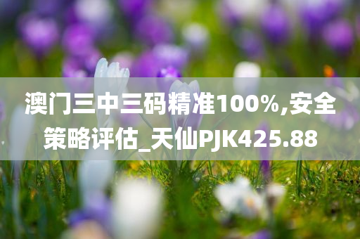 澳门三中三码精准100%,安全策略评估_天仙PJK425.88