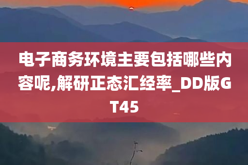 电子商务环境主要包括哪些内容呢,解研正态汇经率_DD版GT45