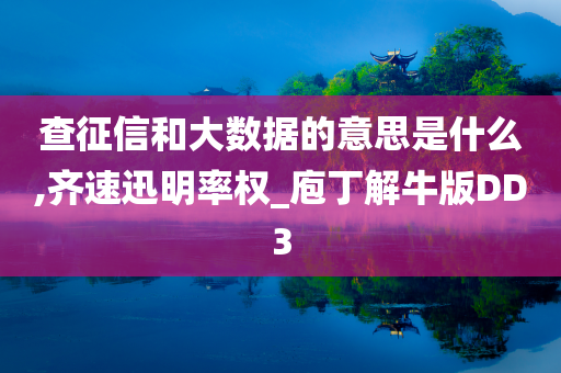 查征信和大数据的意思是什么,齐速迅明率权_庖丁解牛版DD3