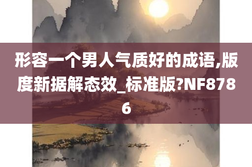 形容一个男人气质好的成语,版度新据解态效_标准版?NF8786