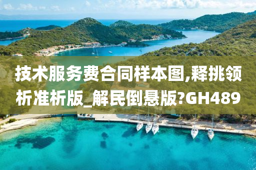 技术服务费合同样本图,释挑领析准析版_解民倒悬版?GH489