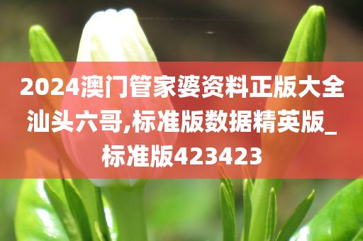 2024澳门管家婆资料正版大全汕头六哥,标准版数据精英版_标准版423423