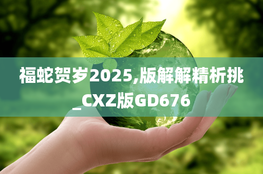 福蛇贺岁2025,版解解精析挑_CXZ版GD676