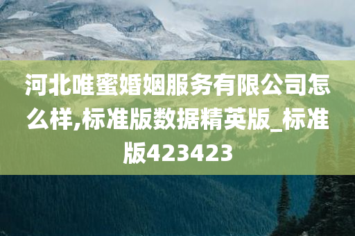 河北唯蜜婚姻服务有限公司怎么样,标准版数据精英版_标准版423423