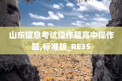 山东信息考试操作题高中操作题,标准版_RE35