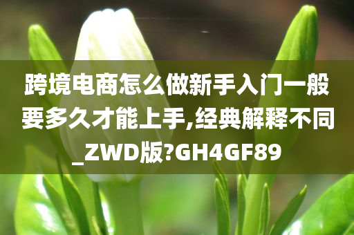 跨境电商怎么做新手入门一般要多久才能上手,经典解释不同_ZWD版?GH4GF89