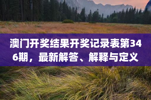 澳门开奖结果开奖记录表第346期，最新解答、解释与定义