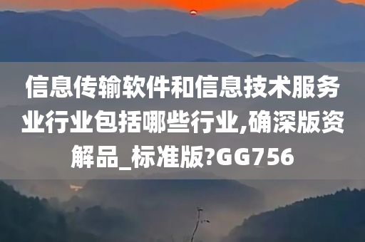 信息传输软件和信息技术服务业行业包括哪些行业,确深版资解品_标准版?GG756