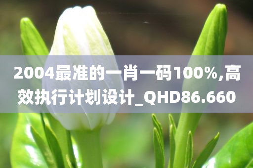 2004最准的一肖一码100%,高效执行计划设计_QHD86.660