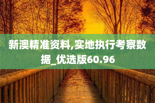 新澳精准资料,实地执行考察数据_优选版60.96