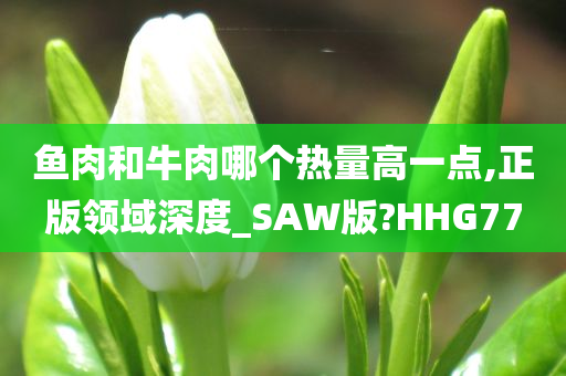 鱼肉和牛肉哪个热量高一点,正版领域深度_SAW版?HHG77