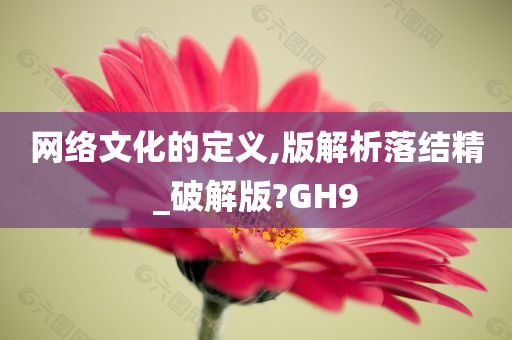 网络文化的定义,版解析落结精_破解版?GH9