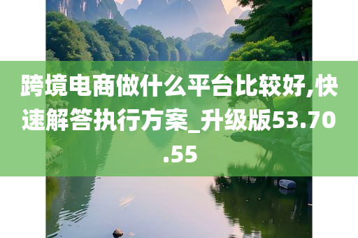 跨境电商做什么平台比较好,快速解答执行方案_升级版53.70.55