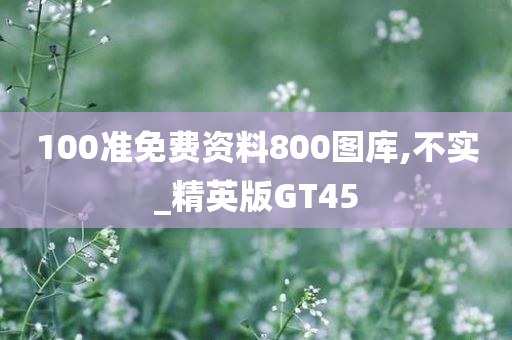 100准免费资料800图库,不实_精英版GT45