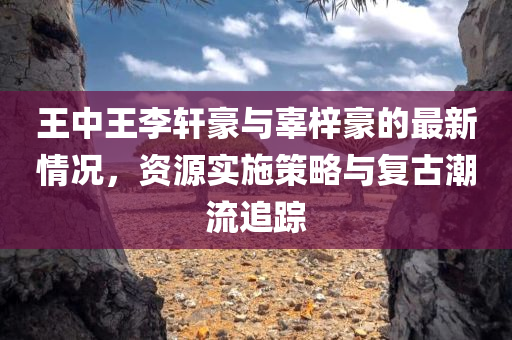 王中王李轩豪与辜梓豪的最新情况，资源实施策略与复古潮流追踪