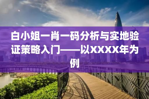 白小姐一肖一码分析与实地验证策略入门——以XXXX年为例