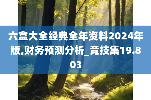 六盒大全经典全年资料2024年版,财务预测分析_竞技集19.803