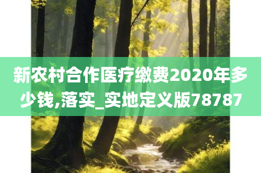 新农村合作医疗缴费2020年多少钱,落实_实地定义版78787