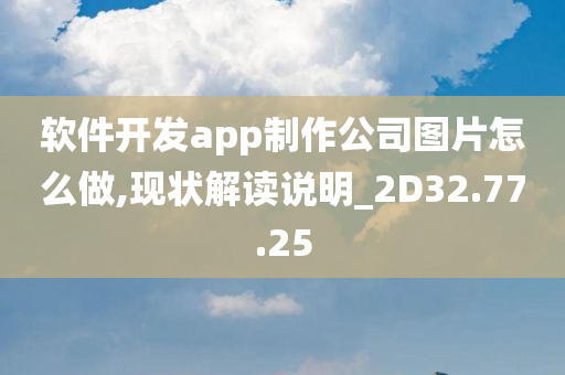 软件开发app制作公司图片怎么做,现状解读说明_2D32.77.25