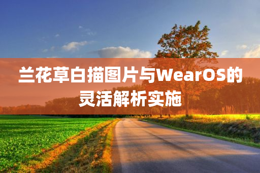 兰花草白描图片与WearOS的灵活解析实施