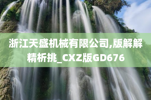 浙江天盛机械有限公司,版解解精析挑_CXZ版GD676