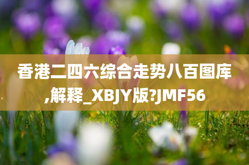 香港二四六综合走势八百图库,解释_XBJY版?JMF56