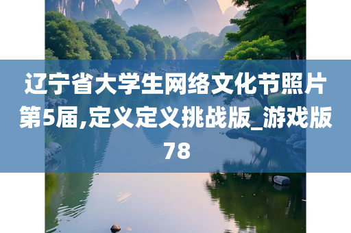 辽宁省大学生网络文化节照片第5届,定义定义挑战版_游戏版78