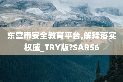 东营市安全教育平台,解释落实权威_TRY版?SAR56