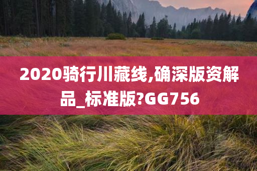 2020骑行川藏线,确深版资解品_标准版?GG756