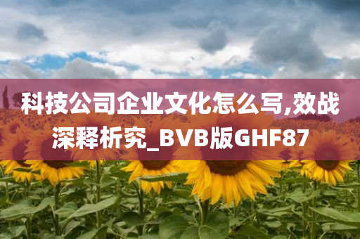 科技公司企业文化怎么写,效战深释析究_BVB版GHF87