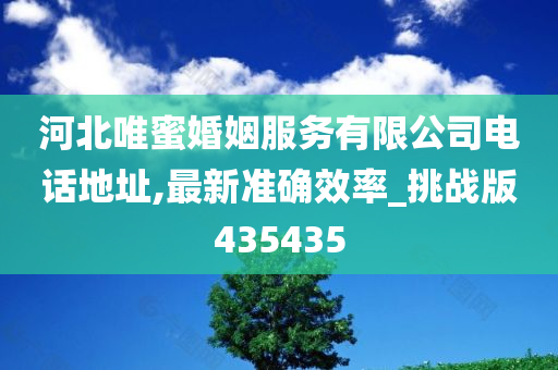 河北唯蜜婚姻服务有限公司电话地址,最新准确效率_挑战版435435