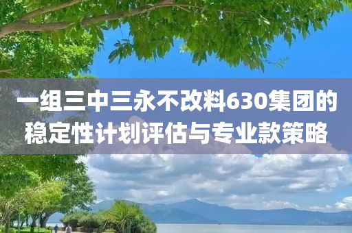 一组三中三永不改料630集团的稳定性计划评估与专业款策略