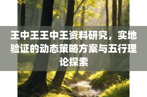 王中王王中王资料研究，实地验证的动态策略方案与五行理论探索