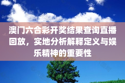 澳门六合彩开奖结果查询直播回放，实地分析解释定义与娱乐精神的重要性