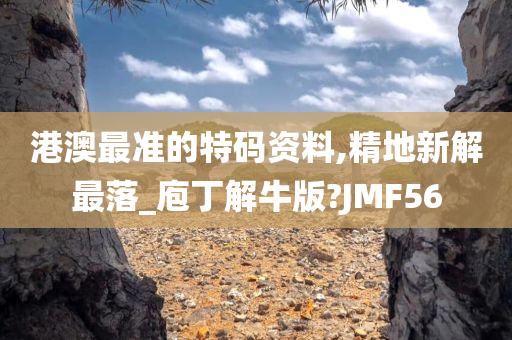 港澳最准的特码资料,精地新解最落_庖丁解牛版?JMF56