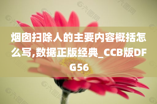 烟囱扫除人的主要内容概括怎么写,数据正版经典_CCB版DFG56