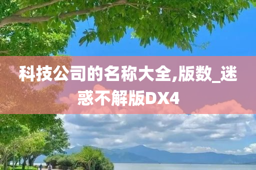 科技公司的名称大全,版数_迷惑不解版DX4