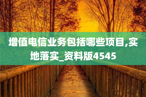 增值电信业务包括哪些项目,实地落实_资料版4545