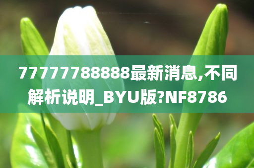 77777788888最新消息,不同解析说明_BYU版?NF8786