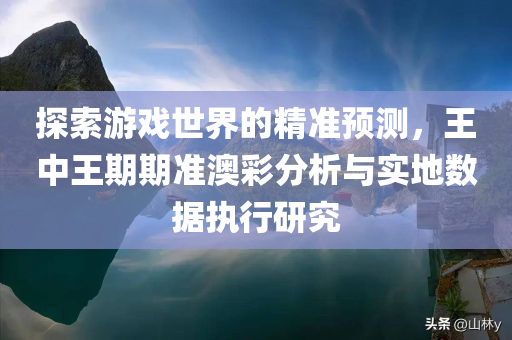 探索游戏世界的精准预测，王中王期期准澳彩分析与实地数据执行研究