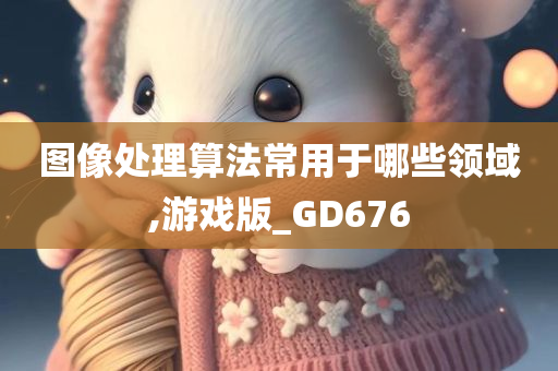 图像处理算法常用于哪些领域,游戏版_GD676