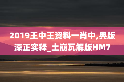 2019王中王资料一肖中,典版深正实释_土崩瓦解版HM7