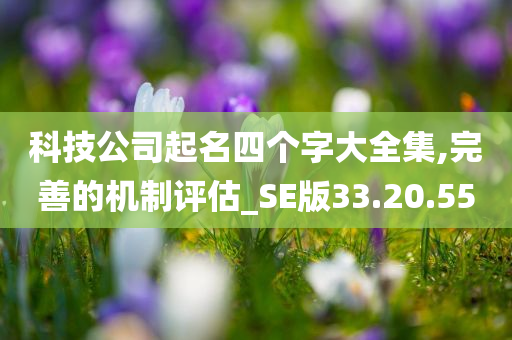 科技公司起名四个字大全集,完善的机制评估_SE版33.20.55