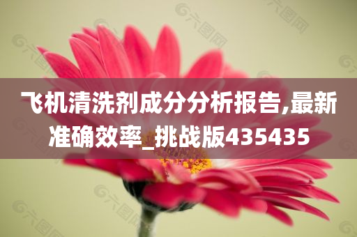 飞机清洗剂成分分析报告,最新准确效率_挑战版435435