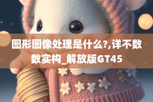 图形图像处理是什么?,详不数数实构_解放版GT45