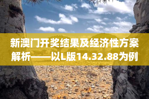 新澳门开奖结果及经济性方案解析——以L版14.32.88为例