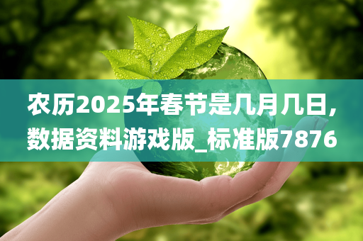 农历2025年春节是几月几日,数据资料游戏版_标准版7876