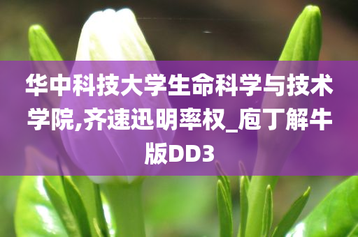 华中科技大学生命科学与技术学院,齐速迅明率权_庖丁解牛版DD3