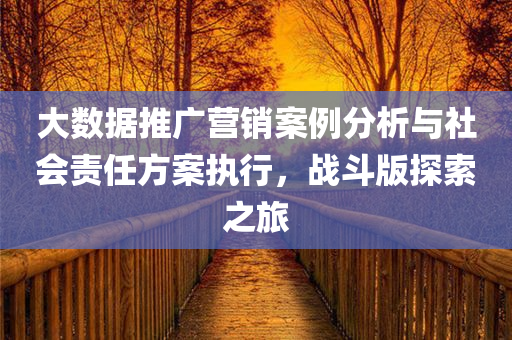 大数据推广营销案例分析与社会责任方案执行，战斗版探索之旅