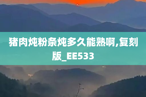 猪肉炖粉条炖多久能熟啊,复刻版_EE533